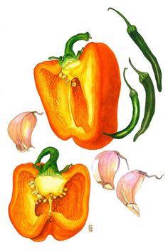 236x352 Best Pepper Images Vegetables, Drawings, Fruit Painting