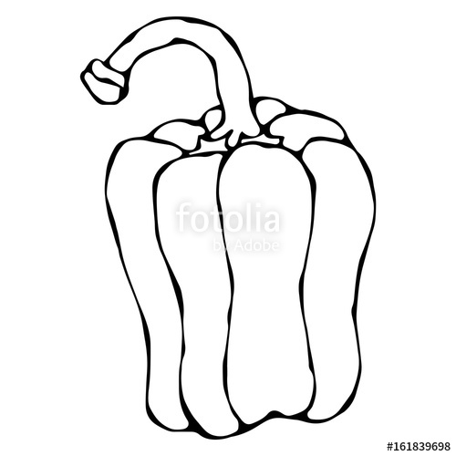 500x500 Paprika, Bell Pepper Or Sweet Bulgarian Pepper Isolated