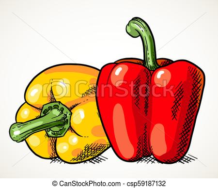 450x388 two sweet peppers vegetable illustration pair of fresh sweet