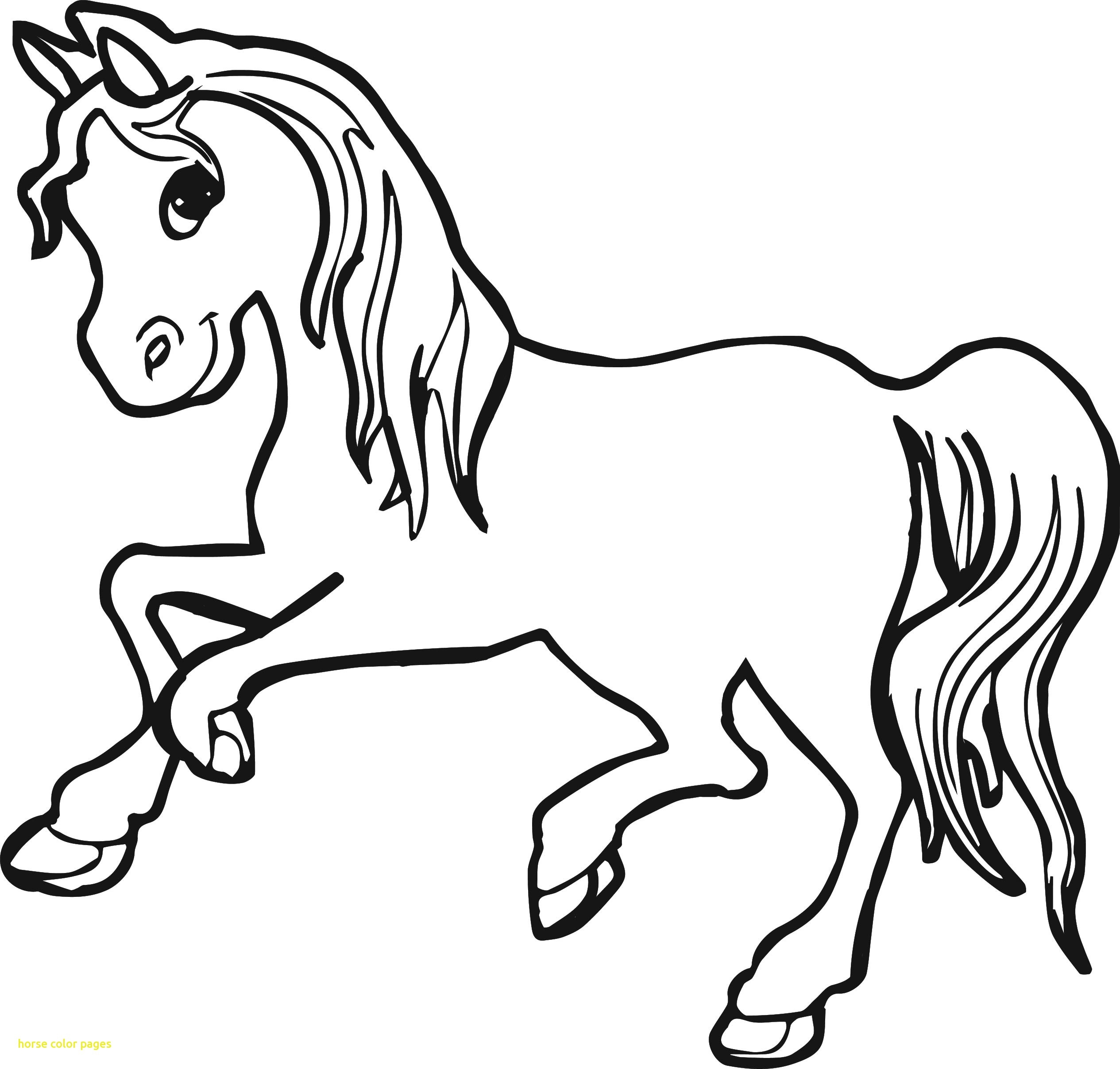 2530x2416 Full Drawing To Color Horse Picture Valuegolfireland