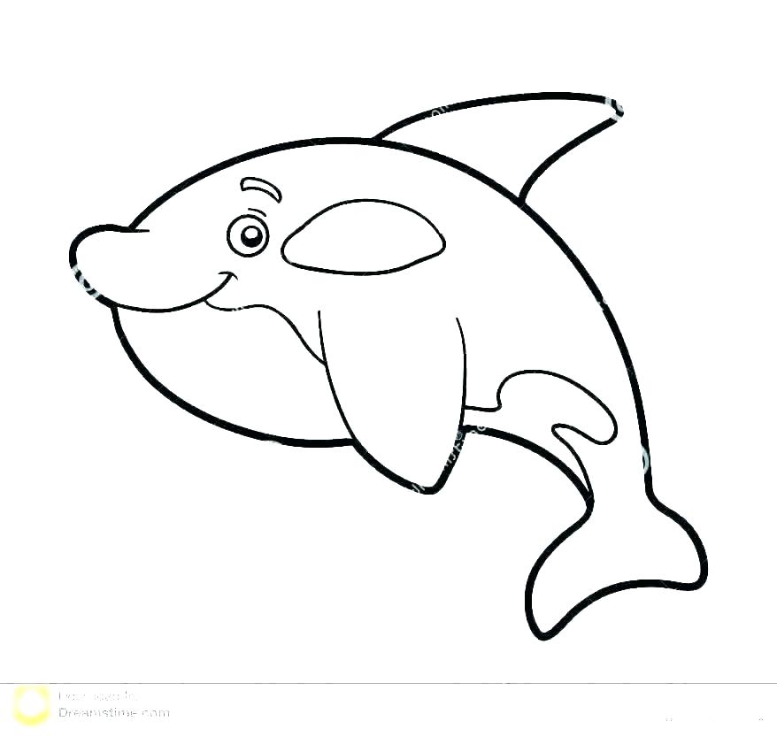 878x833 Coloring Pages Whales Whale Shark Coloring Pages Free Printable