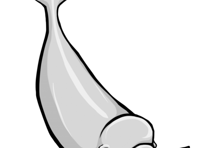 640x480 Free Beluga Whale Clipart, Download Free Clip Art