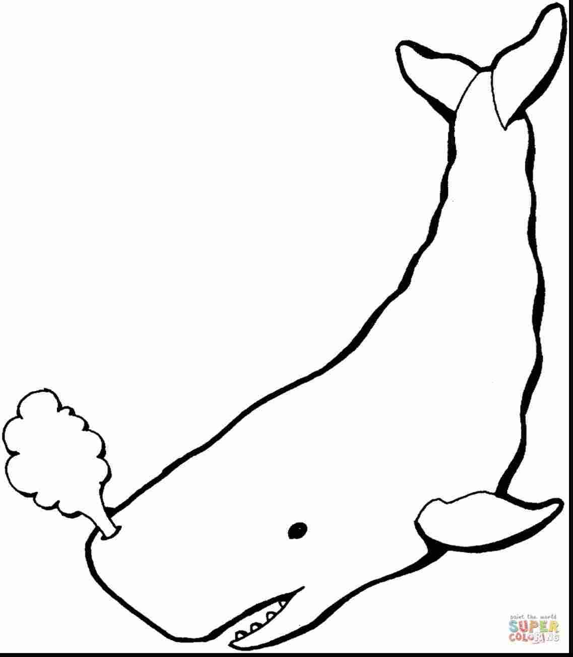 1137x1304 to draw beluga whale things how a cute ings rhyoutubecom steps