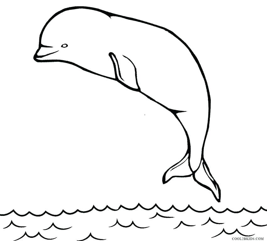 850x768 Whale Coloring Pages Printable Whale Coloring Pages Printable Blue