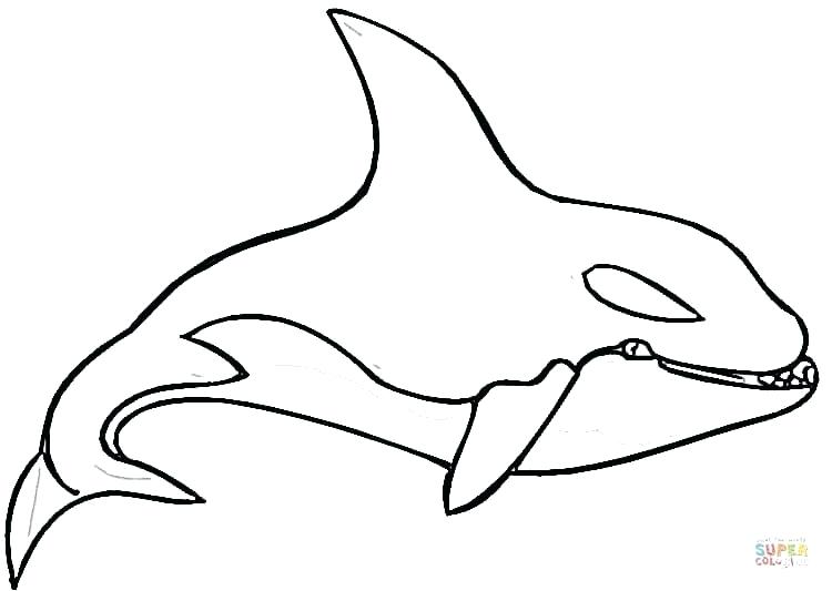 750x533 Whale Coloring Whale Coloring