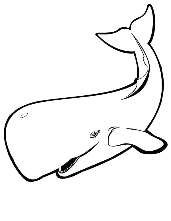 600x776 Whale Pictures To Color Cartoon Killer Whale Color