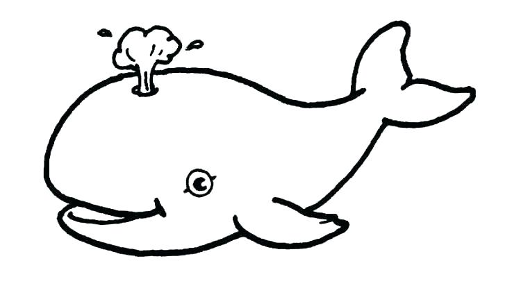 750x425 Coloring Pages Whale Palmarosa