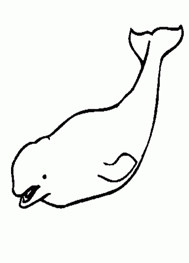650x900 Beluga Whale Coloring Page