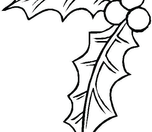 490x425 Coloring Pages Christmas Holly
