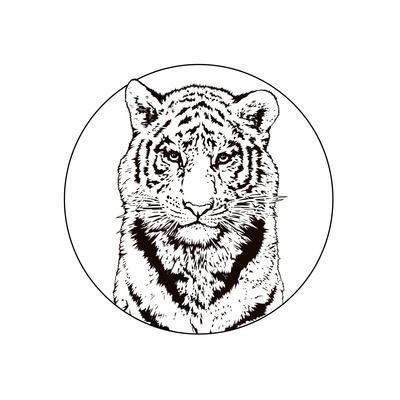 400x400 Graphic Drawing Of A Bengal Tiger Wildlife Big Cat Art Print