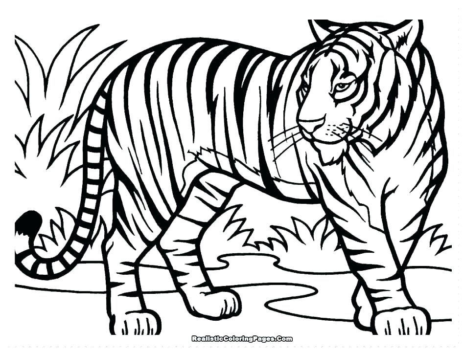 948x720 Bengal Tiger Coloring