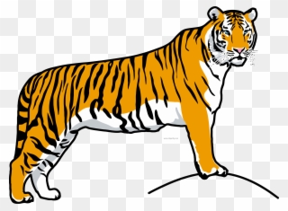 320x235 Tiiger Clipart Tiger Run