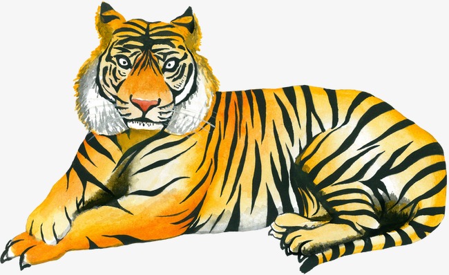 650x398 yellow tiger, tiger clipart, hand painted tiger, drawing tiger png