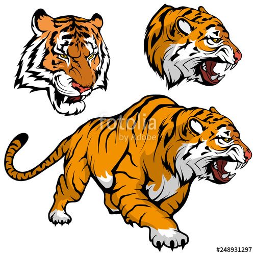 500x500 Bengal Tiger Set Suitable As Logo For Team Mascot, Royal Tiger