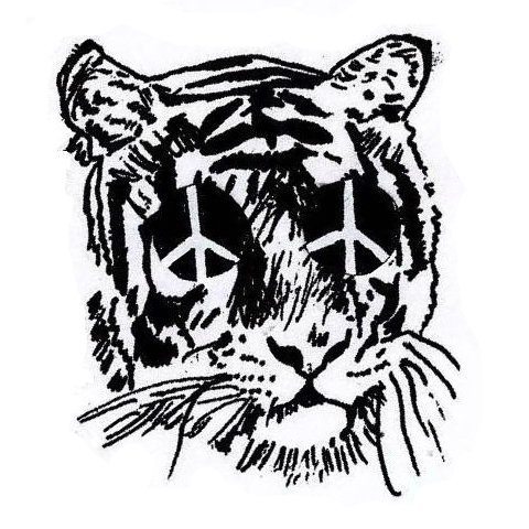 480x480 Spaced Out Choogle From Chicago Glyders In Berlin