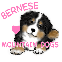 240x240 Bernese Mountain Dogs Puppies Line Stickers Line Store