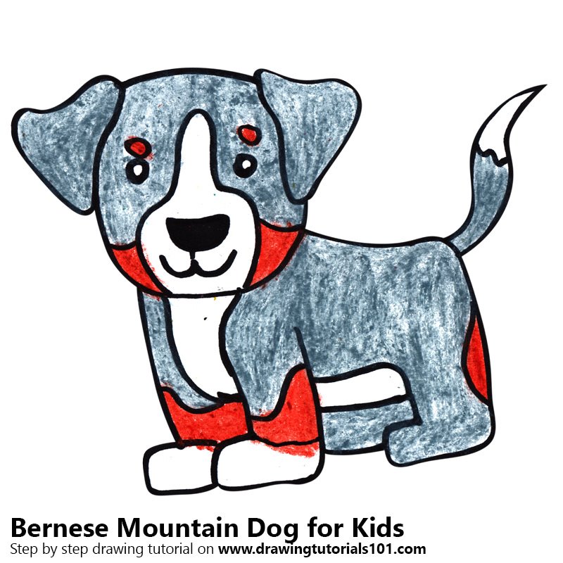 800x800 Learn How To Draw A Bernese Mountain Dog For Kids