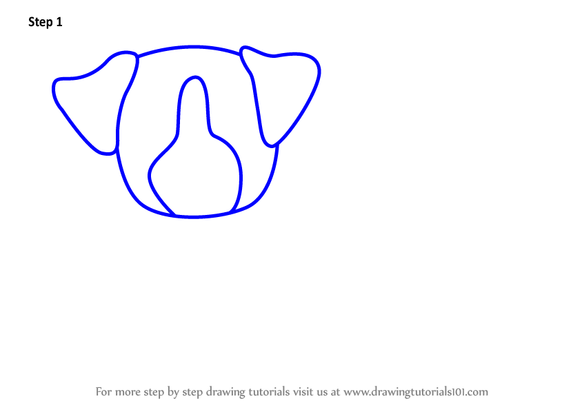 844x598 Learn How To Draw A Bernese Mountain Dog For Kids