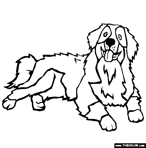 554x565 Dog Color Pages Printable Mountain Dog Coloring