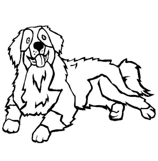 600x612 Bernese Mountain Dog Coloring Pages Berner Love Dogs, Mountain