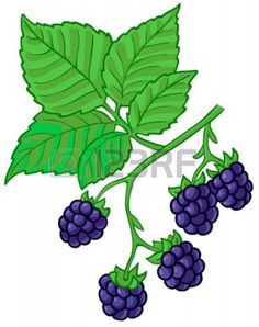 236x298 Collection Of Free Berries Clipart Berry Bush Bean Clipart