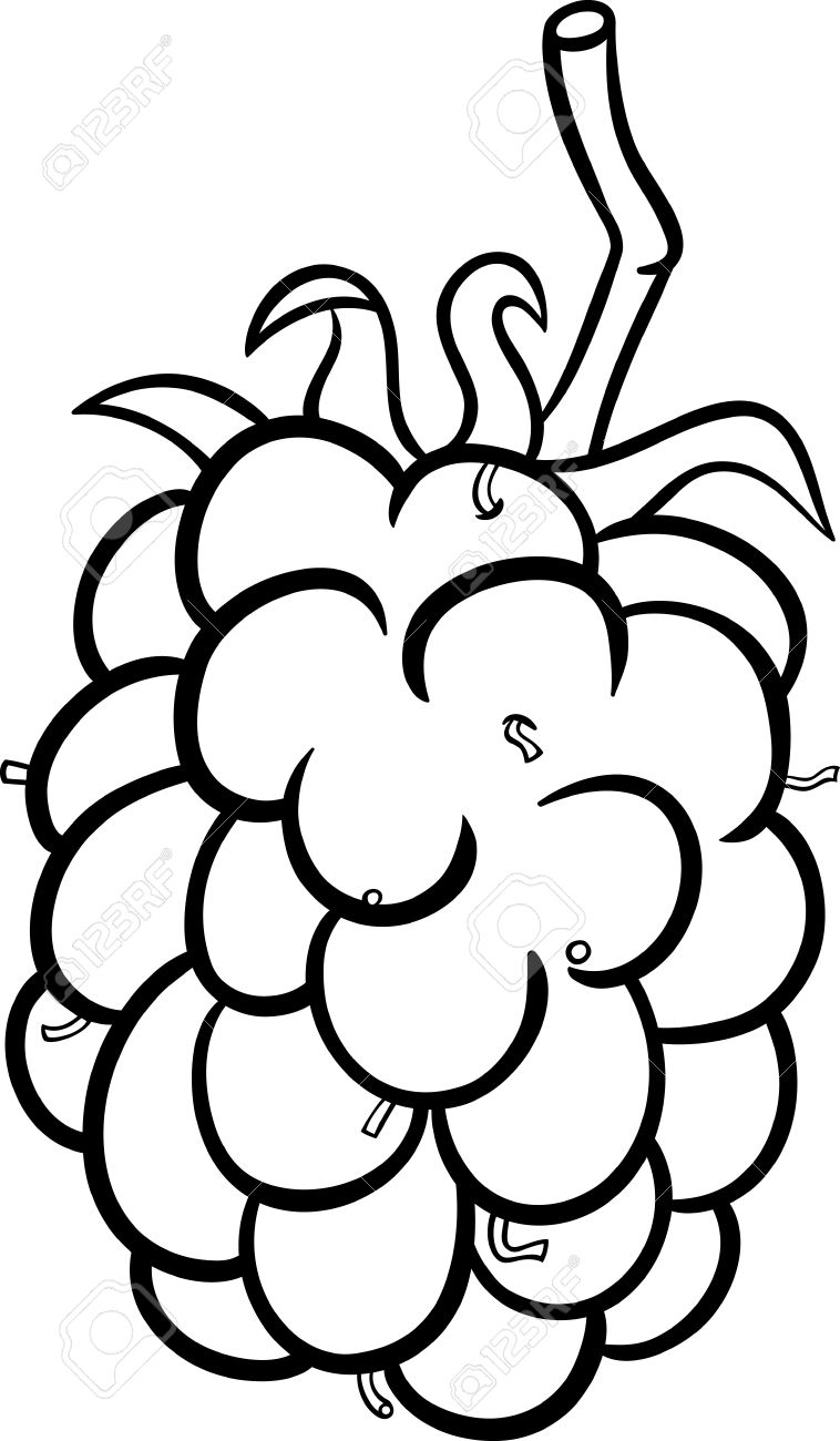 758x1300 Collection Of Free Berries Clipart Black And White Download On Ui Ex