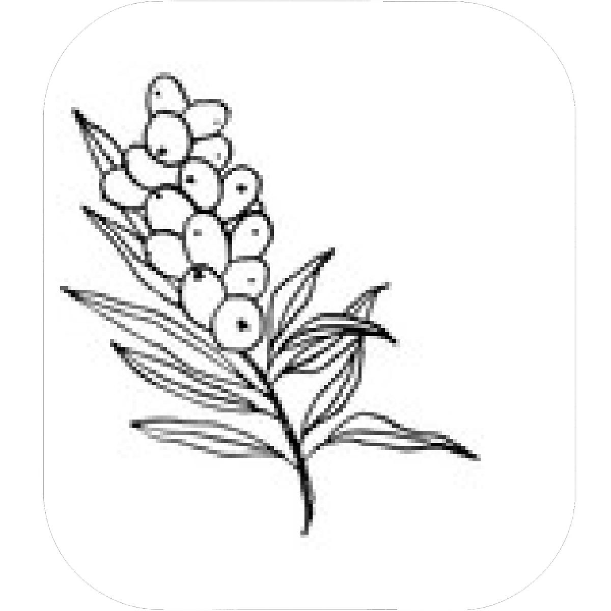 1200x1200 Designs Mein Mousepad Design Mousepad Selbst Designen