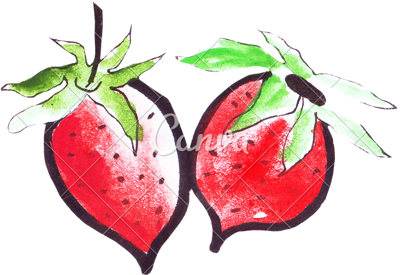 800x550 Hand Drawing Of Fruits, Berries And Plants