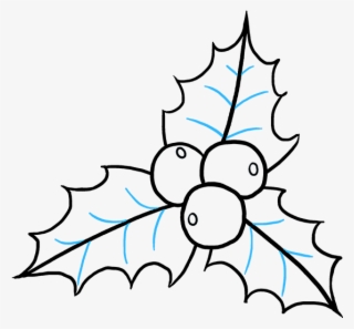 320x297 Line Drawing Of Green Holly Leaves With Red Berries