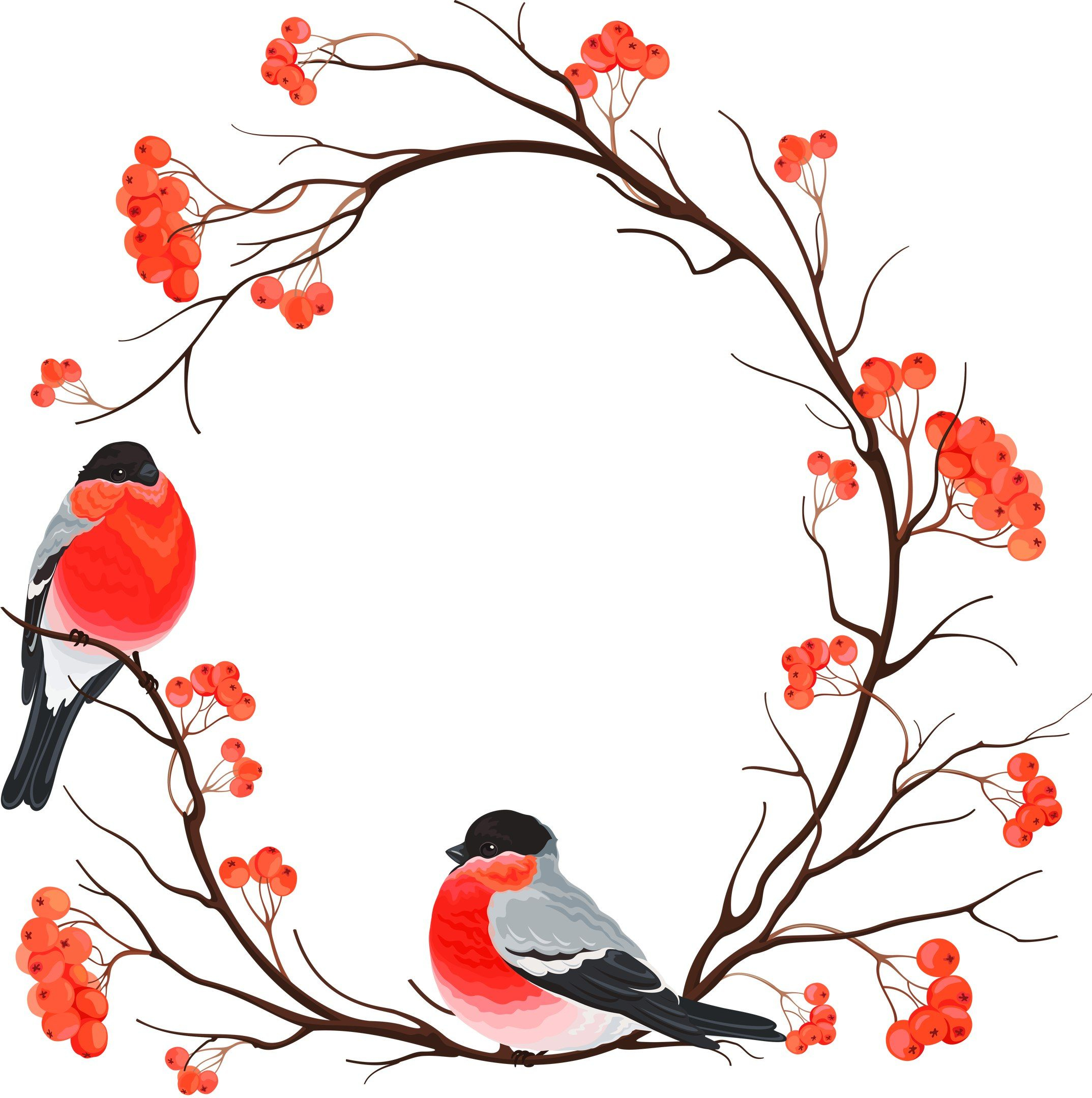 2147x2160 Nature Birds Drawing Art, Nature, Birds, Berries, Illustration