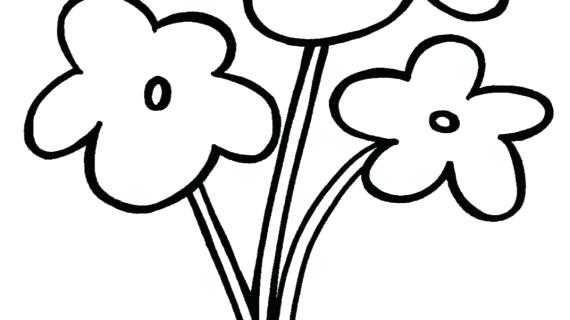 570x320 Flowers Drawing Simple Best Drawing Hawaiian Flowers Simple