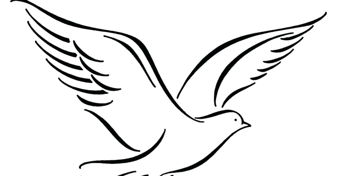 1102x578 Dove Drawings Dove Flying Drawing Cartoon Dove Drawing Step