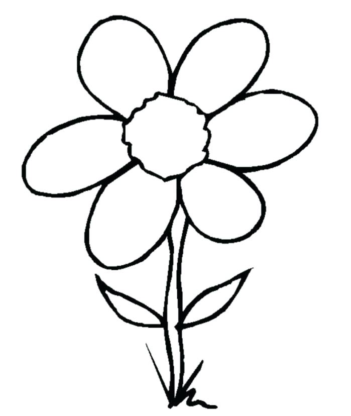 699x828 Drawings Of Flowers Easy How To Draw A Flower Easy Best Images