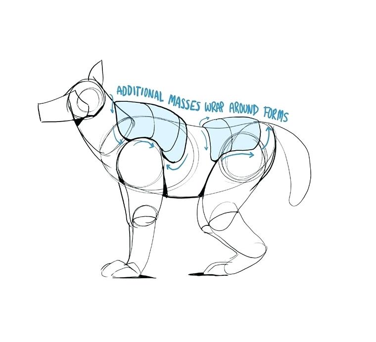 760x692 Good Animals To Draw How To Draw Animals Copy Best How To Draw