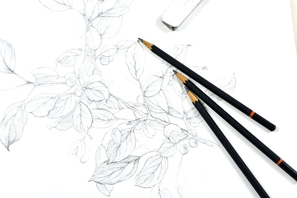 1024x683 Best Things To Sketch For Beginners Best Easy Things To Draw