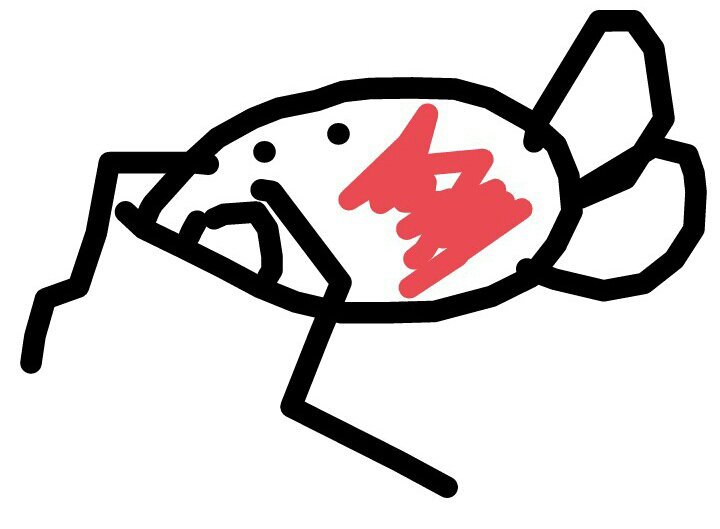 720x529 Best Magikarp Drawing Amino