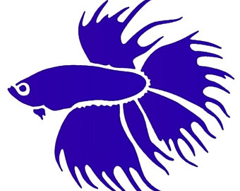 340x270 Beta Fish Drawing Etsy