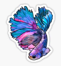 210x230 Betta Drawing Stickers Redbubble