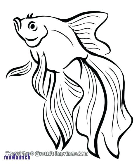 476x565 Coloriages De Poisson Betta Fighter Doodle Art Sharpie Art Drawing