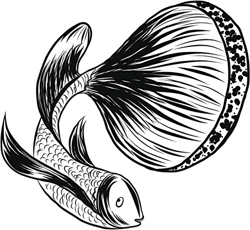 500x460 Pretty Black And White Betta Fish Pen Sketch Drawing