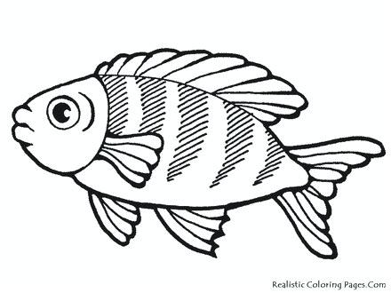 440x330 Realistic Fish Coloring Pages