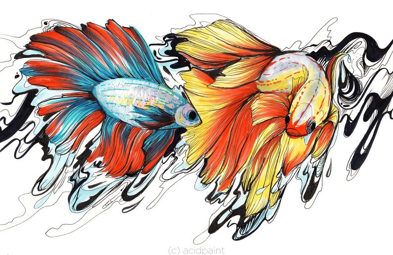 794x515 Beta Fish Art Fishing Cabin Art Wall Coastal Decor Lake Etsy