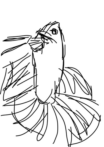 364x512 betta drawing! betta keepers amino