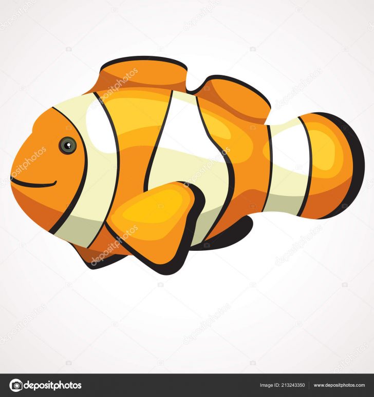 728x774 Cartoon Drawing Of Fighting Fish For Betta Free Jellyfish Simple