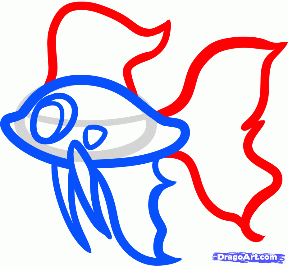 927x858 draw a betta for kids, betta fish, step