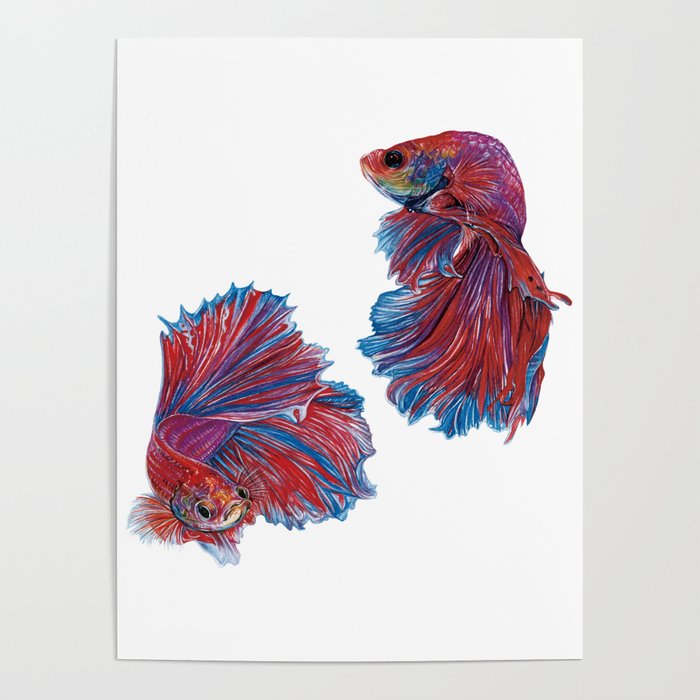 700x700 Ocean Theme Betta Fish Watercolor Illustration Poster