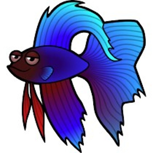 500x500 Pez Betta