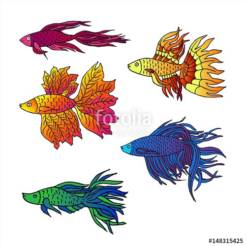500x500 Set Of Beautiful Hand Drawn Aquarium Fish River Fish Sea Fish