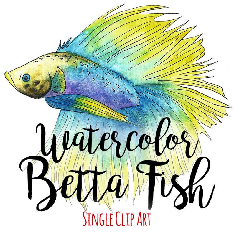 794x794 Watercolor Betta Fish Clip Art Commercial Use Siamese Etsy