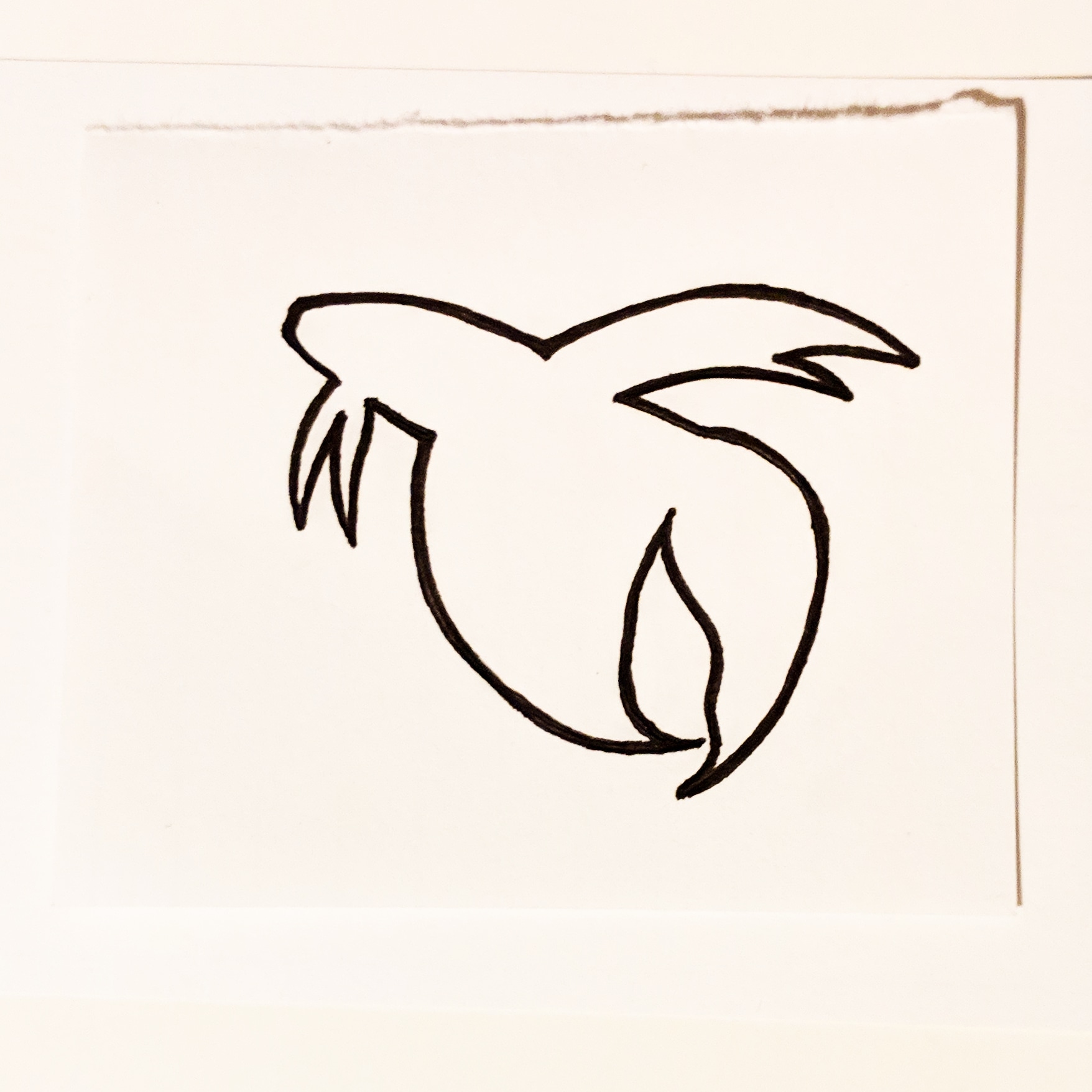 1756x1756 Betta Mighty Lady Art